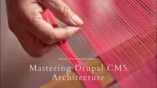 Mastering Drupal CMS Architecture.